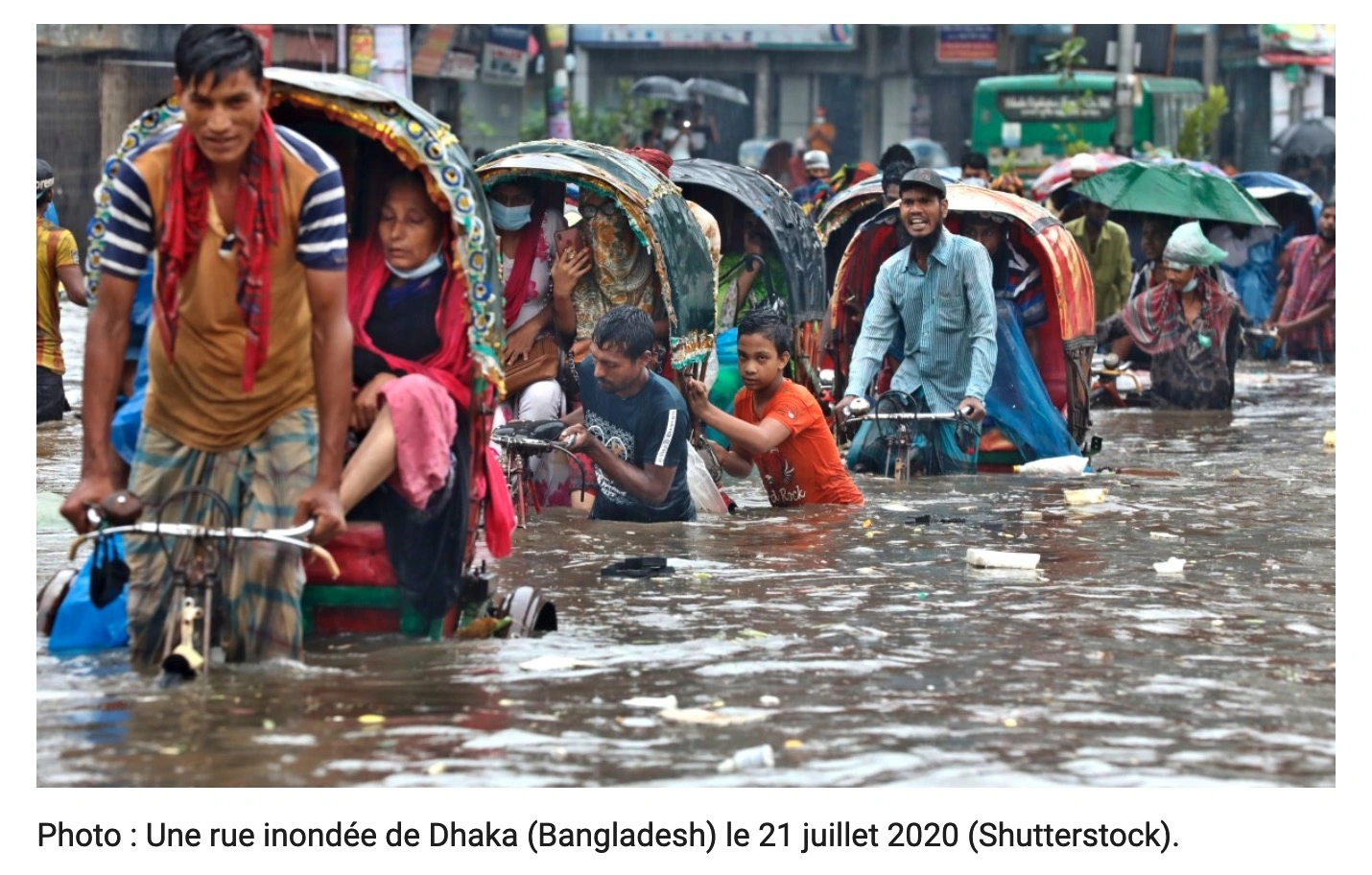 Infolettre Juin 2024
